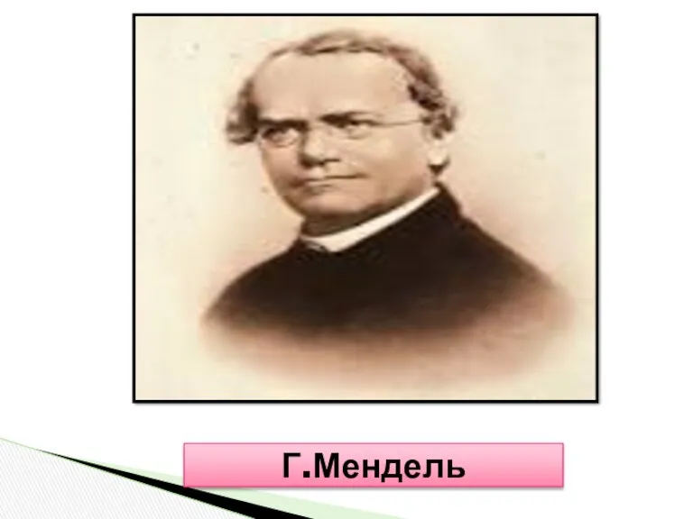 Г.Мендель