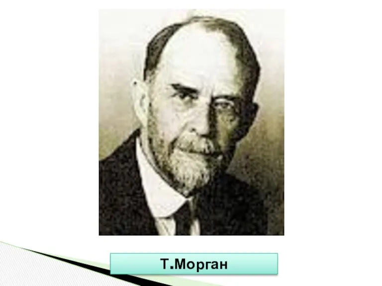 Т.Морган