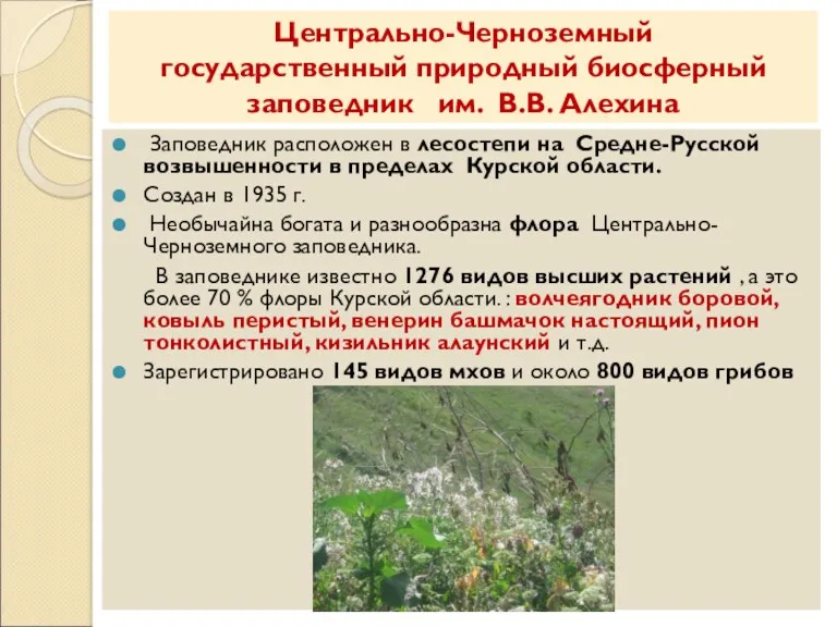 Центрально-Черноземный государственный природный биосферный заповедник им. В.В. Алехина Заповедник расположен