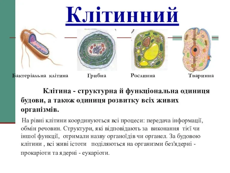 Клітинний Бактеріальна клітина Грибна Рослинна Тваринна Клітина - структурна й