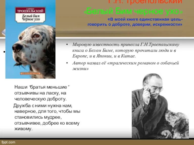 Г.Н. Троепольский «Белый Бим черное ухо» «В моей книге единственная