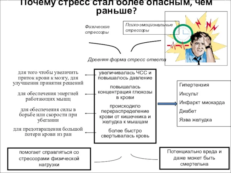 Почему стресс стал более опасным, чем раньше? увеличивалась ЧСС и