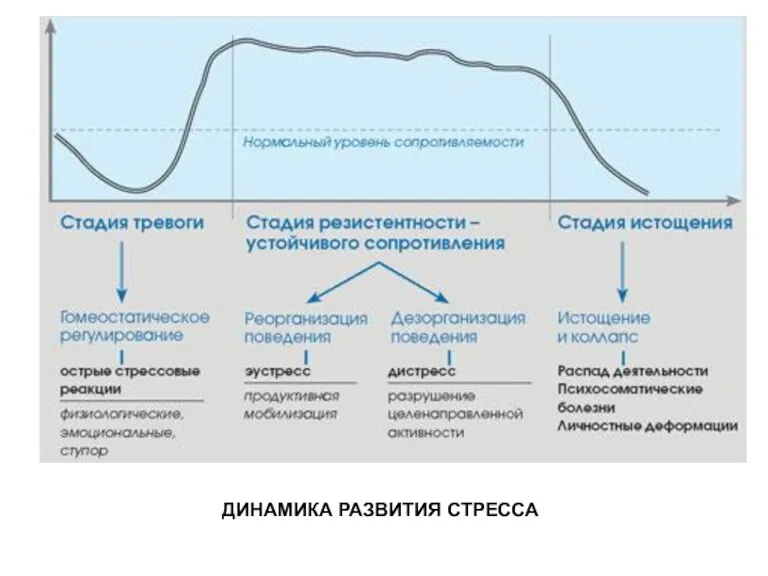 ДИНАМИКА РАЗВИТИЯ СТРЕССА