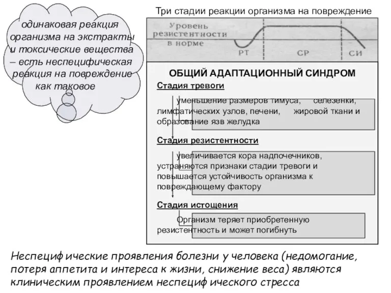 Неспецифические проявления болезни у человека (недомогание, потеря аппетита и интереса