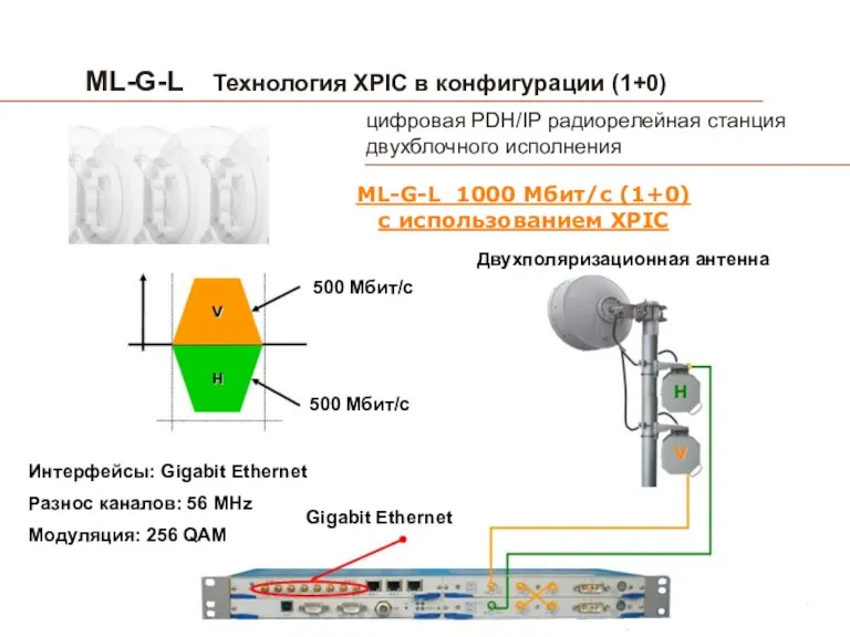 ML-G-L Технология XPIC в конфигурации (1+0) ML-G-L 1000 Мбит/с (1+0)