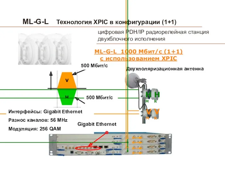 ML-G-L Технология XPIC в конфигурации (1+1) ML-G-L 1000 Мбит/с (1+1)