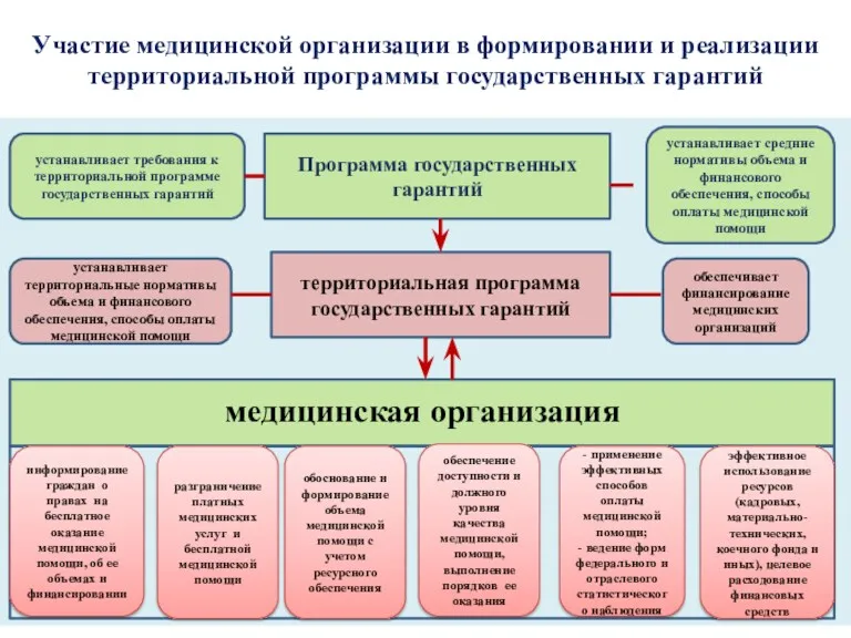 Участие медицинской организации в формировании и реализации территориальной программы государственных