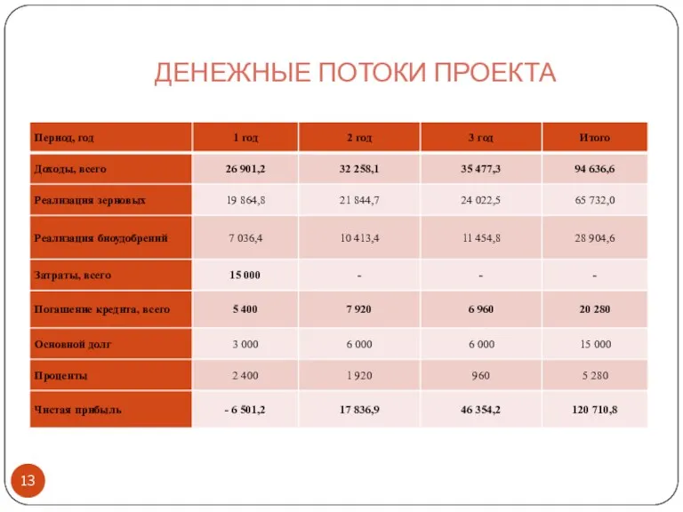 ДЕНЕЖНЫЕ ПОТОКИ ПРОЕКТА