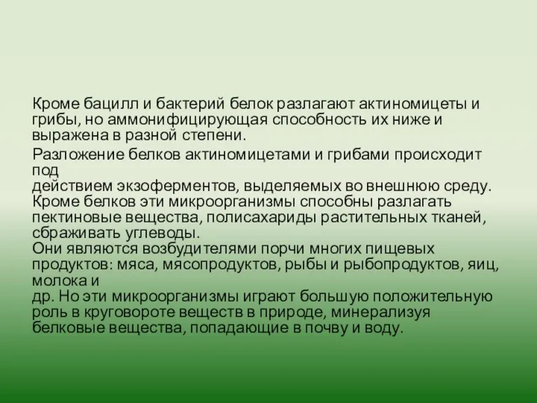 Кроме бацилл и бактерий белок разлагают актиномицеты и грибы, но