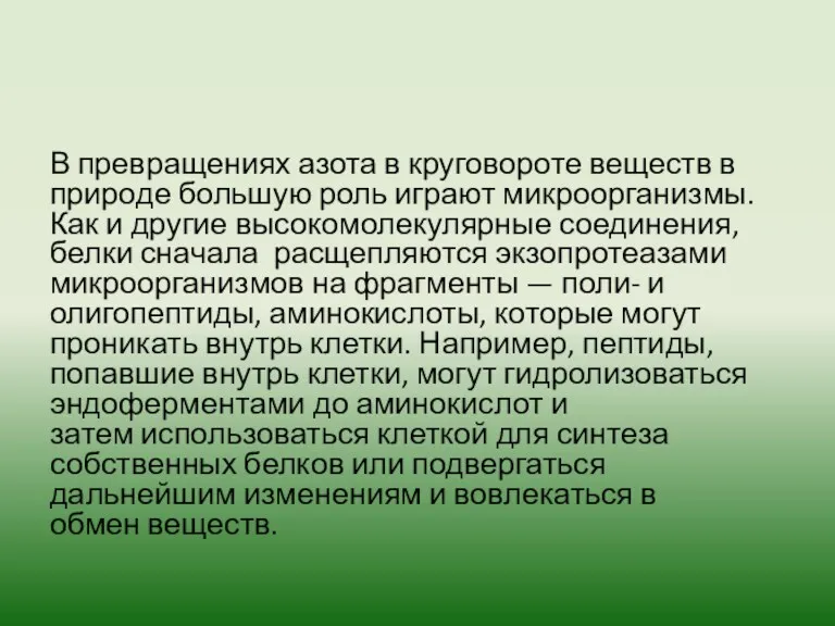 В превращениях азота в круговороте веществ в природе большую роль