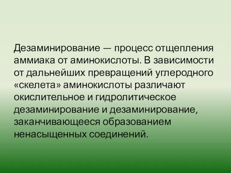 Дезаминирование — процесс отщепления аммиака от аминокислоты. В зависимости от