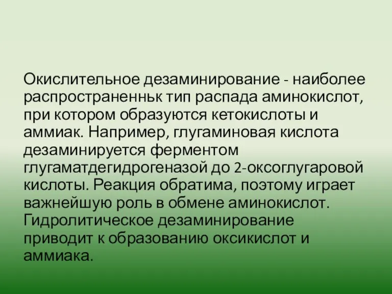 Окислительное дезаминирование - наиболее распространенньк тип распада аминокислот, при котором