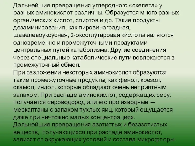 Дальнейшие превращения углеродного «скелета» у разных аминокислот различны. Образуется много