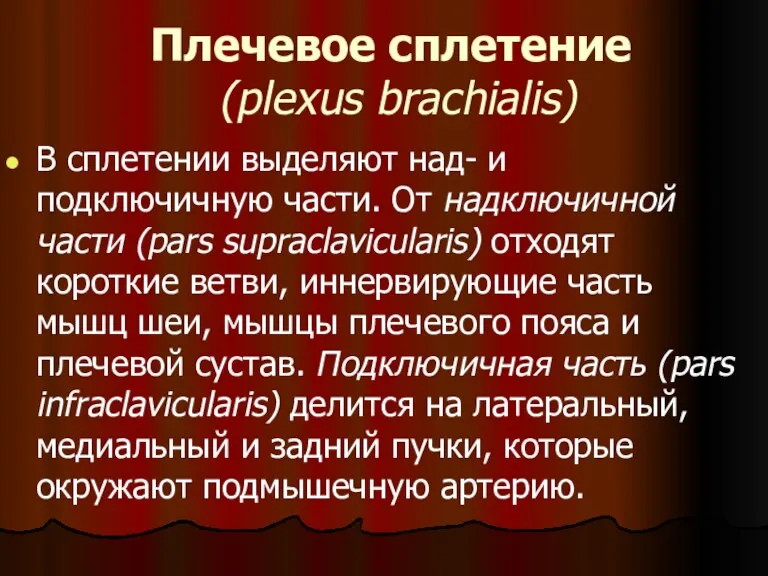 Плечевое сплетение (plexus brachialis) В сплетении выделяют над- и подключичную