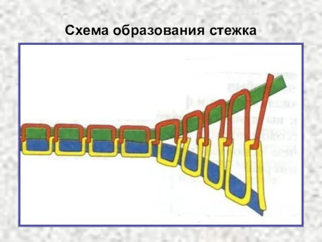 Схема образования стежка