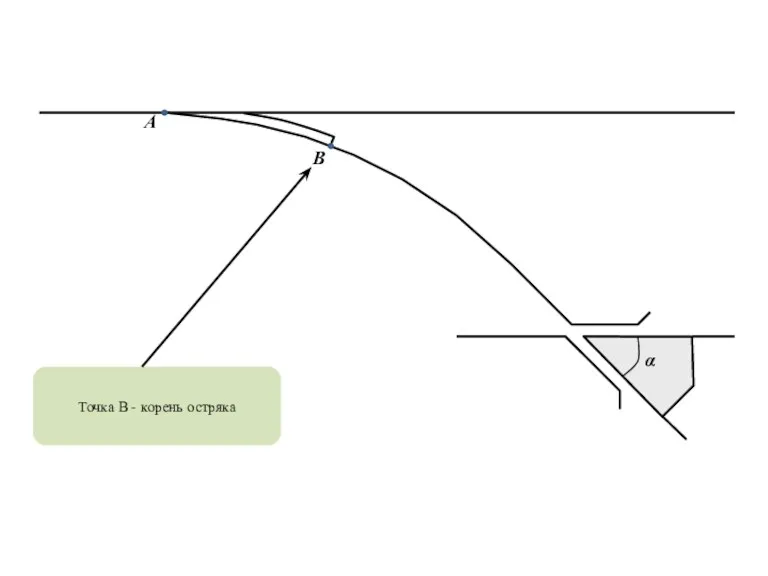 α Точка В - корень остряка B A