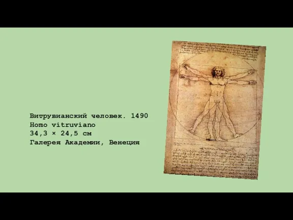 Витрувианский человек. 1490 Homo vitruviano 34,3 × 24,5 см Галерея Академии, Венеция