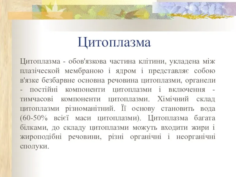 Цитоплазма Цитоплазма - обов'язкова частина клітини, укладена між плазіческой мембраною