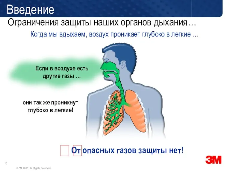 Когда мы вдыхаем, воздух проникает глубоко в легкие … они