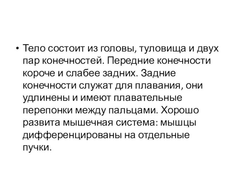 Тело состоит из головы, туловища и двух пар конечностей. Передние конечности короче и