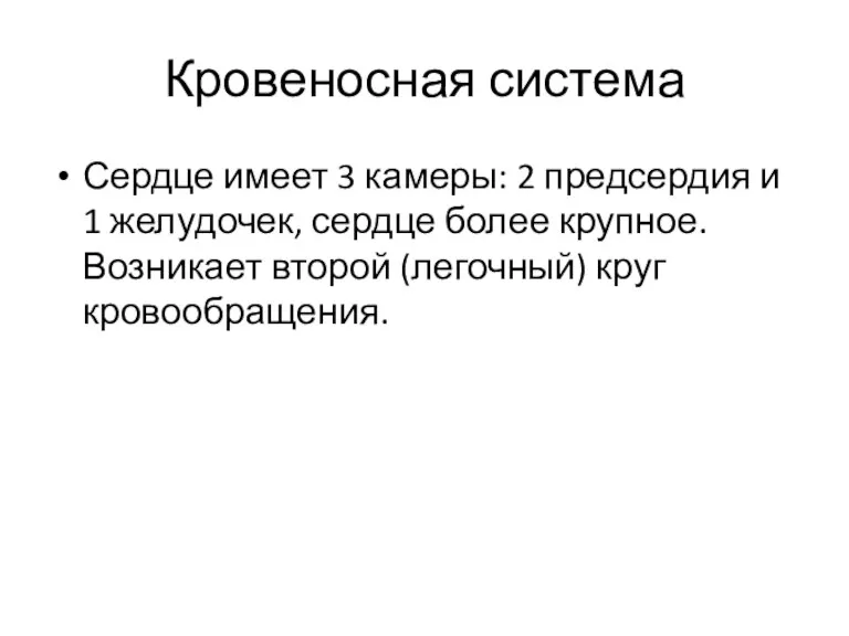 Кровеносная система Сердце имеет 3 камеры: 2 предсердия и 1 желудочек, сердце более