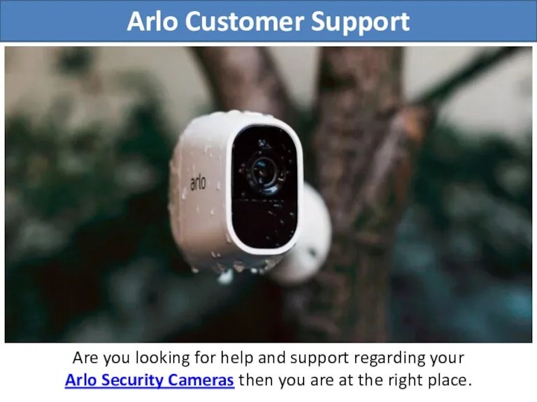 Arlo Customer Support Are you looking for help and support