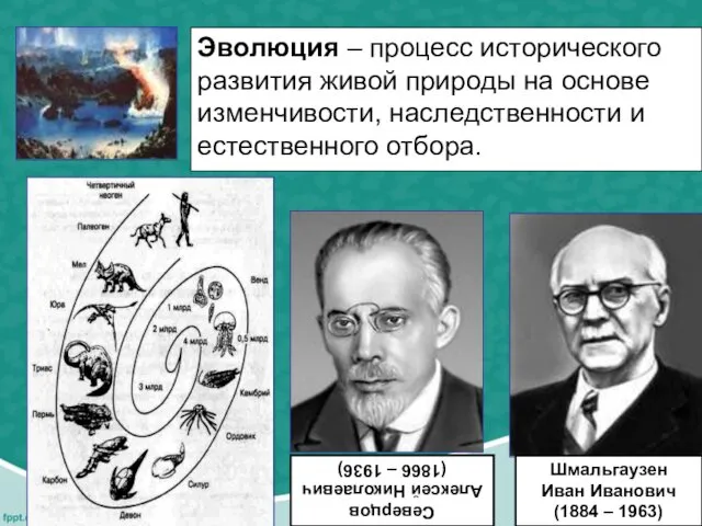 Эволюция – процесс исторического развития живой природы на основе изменчивости,