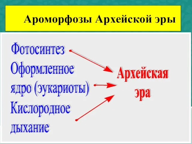 Ароморфозы Архейской эры