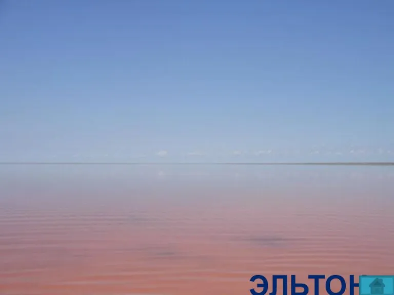 Как называется крупнейшее соленое озеро в Европе (152 кв. км),расположенное в Волгоградской области?