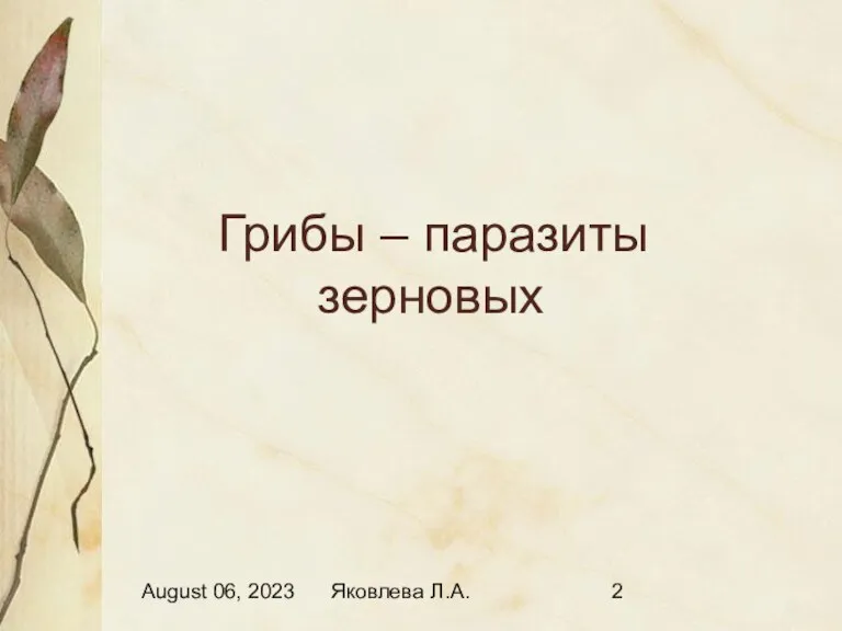 August 06, 2023 Яковлева Л.А. Грибы – паразиты зерновых