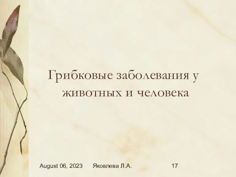 August 06, 2023 Яковлева Л.А. Грибковые заболевания у животных и человека