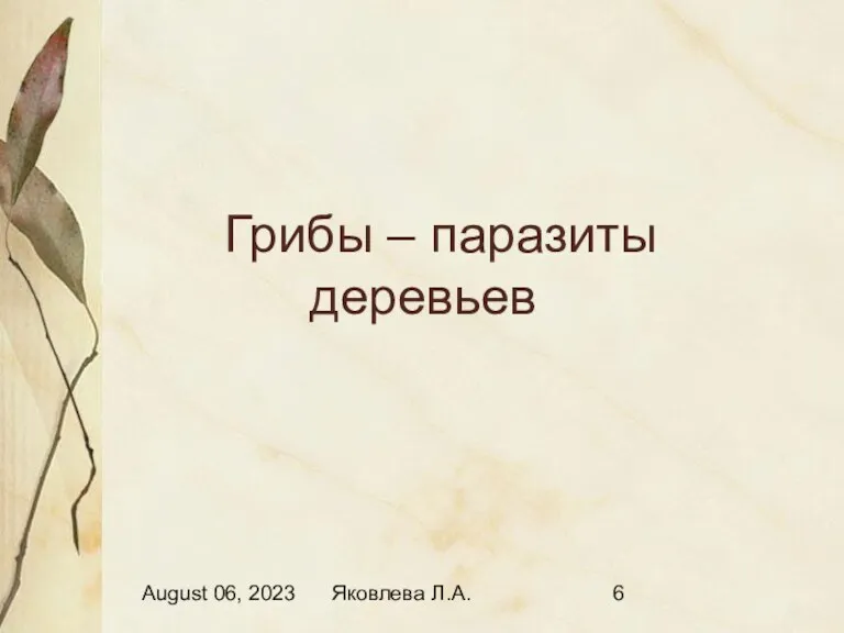 August 06, 2023 Яковлева Л.А. Грибы – паразиты деревьев