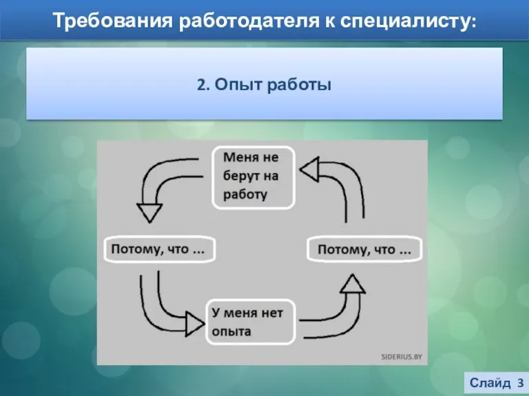 Требования работодателя к специалисту: Слайд 3 2. Опыт работы