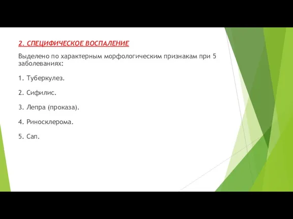 2. СПЕЦИФИЧЕСКОЕ ВОСПАЛЕНИЕ Выделено по характерным морфологическим признакам при 5