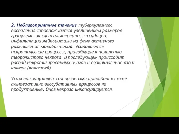 2. Неблагоприятное течение туберкулезного воспаления сопровождается увеличением размеров гранулемы за