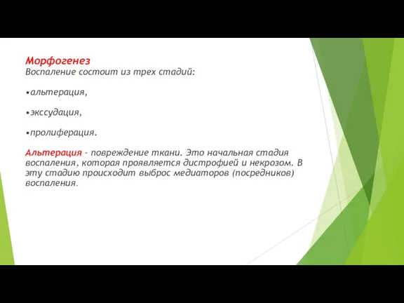Морфогенез Воспаление состоит из трех стадий: •альтерация, •экссудация, •пролиферация. Альтерация