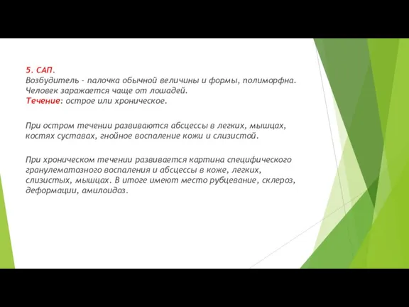 5. САП. Возбудитель – палочка обычной величины и формы, полиморфна.