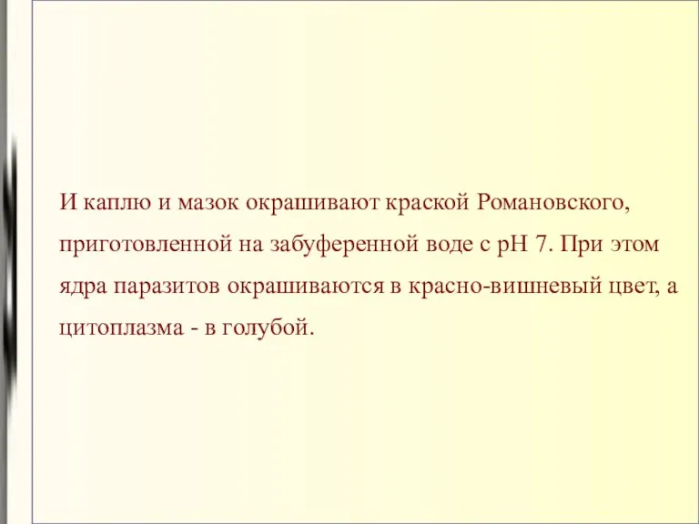 И каплю и мазок окрашивают краской Романовского, приготовленной на забуференной