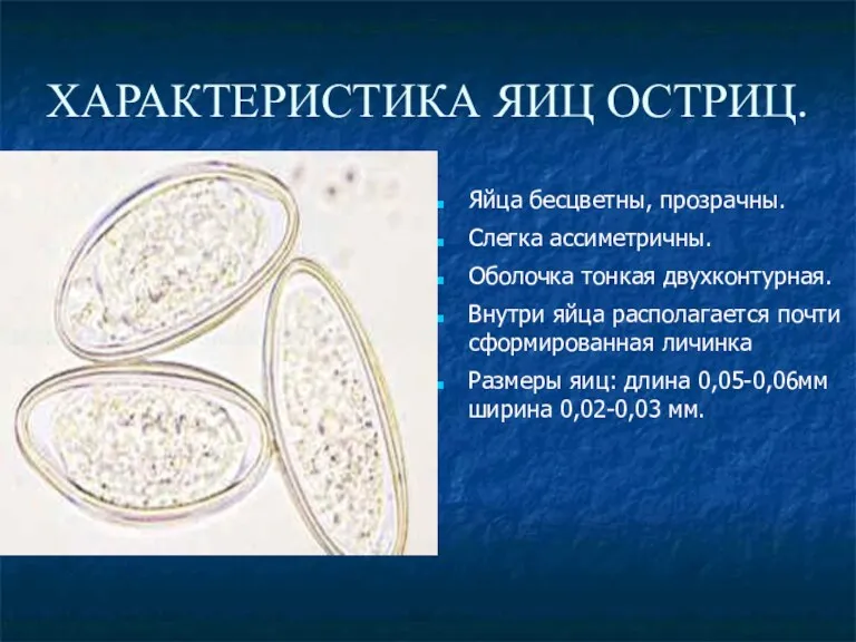 ХАРАКТЕРИСТИКА ЯИЦ ОСТРИЦ. Яйца бесцветны, прозрачны. Слегка ассиметричны. Оболочка тонкая