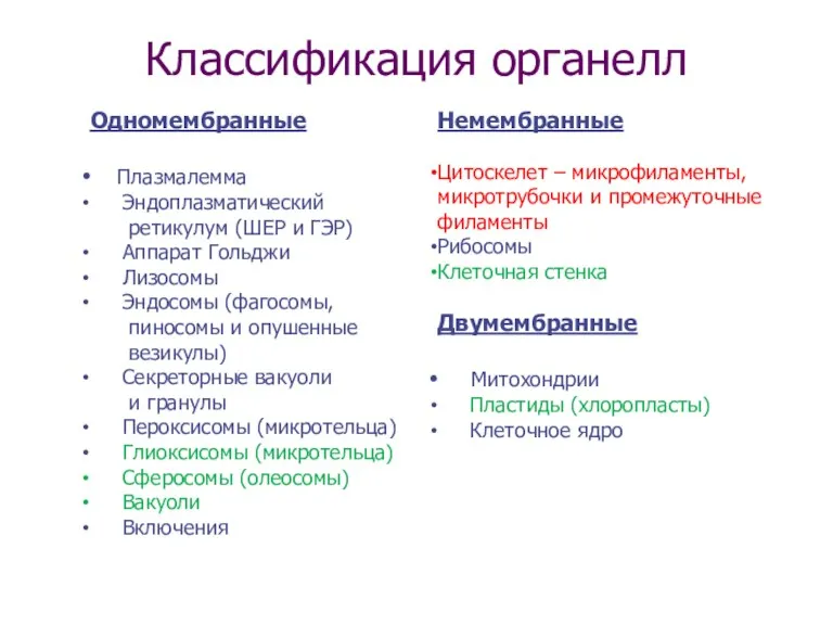 Классификация органелл