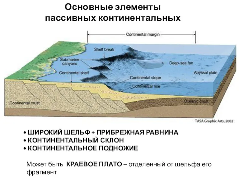 Основные элементы пассивных континентальных окраин ШИРОКИЙ ШЕЛЬФ + ПРИБРЕЖНАЯ РАВНИНА