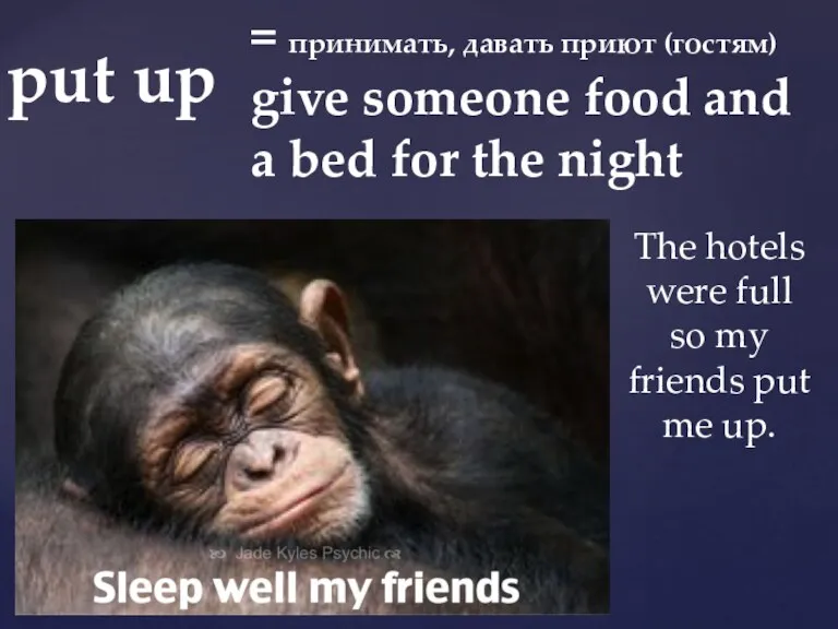 = принимать, давать приют (гостям) give someone food and a