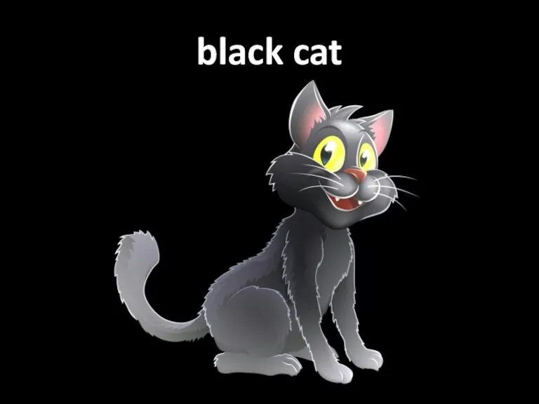 black cat