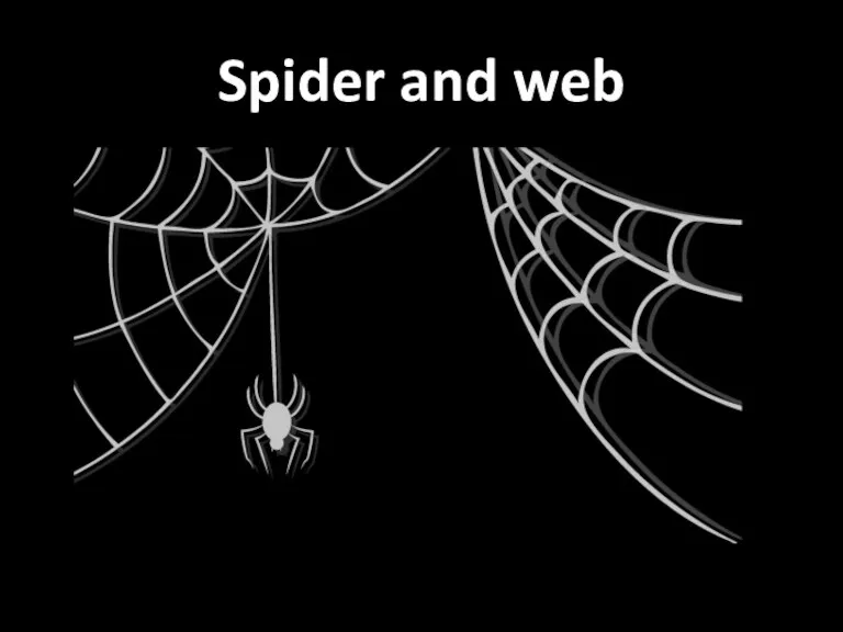 Spider and web