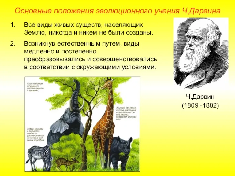 Основные положения эволюционного учения Ч.Дарвина Ч.Дарвин (1809 -1882) Все виды живых существ, населяющих