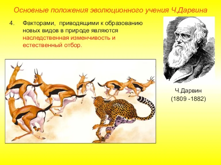 Основные положения эволюционного учения Ч.Дарвина Ч.Дарвин (1809 -1882) Факторами, приводящими