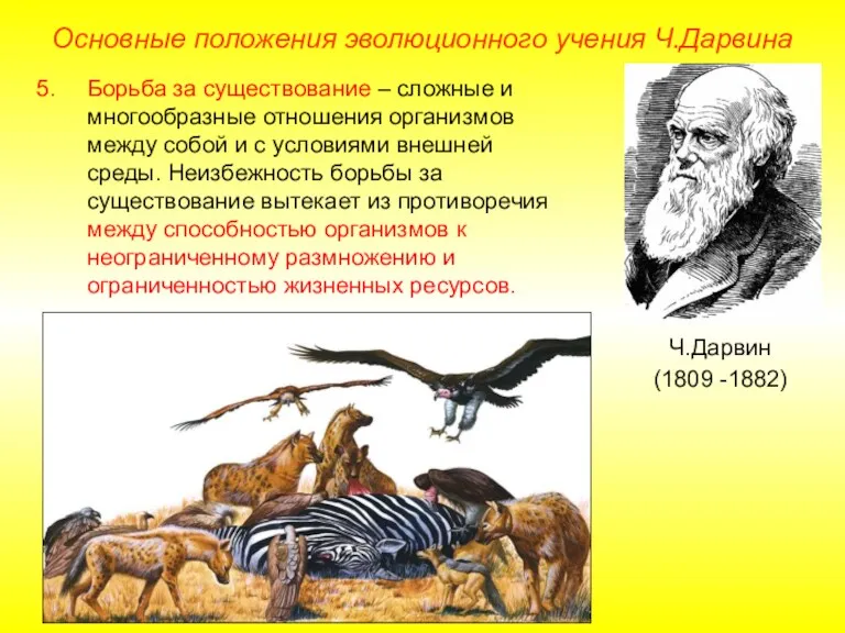 Основные положения эволюционного учения Ч.Дарвина Ч.Дарвин (1809 -1882) Борьба за