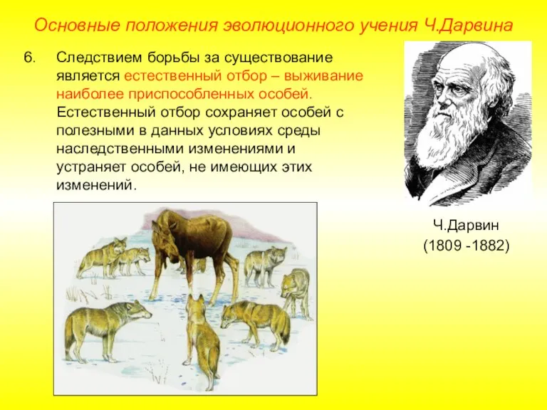 Основные положения эволюционного учения Ч.Дарвина Ч.Дарвин (1809 -1882) Следствием борьбы