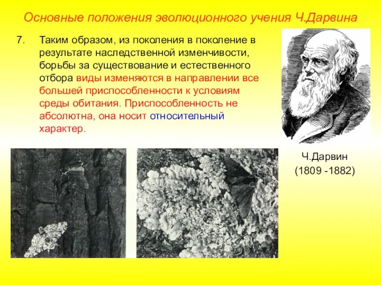 Основные положения эволюционного учения Ч.Дарвина Ч.Дарвин (1809 -1882) Таким образом, из поколения в