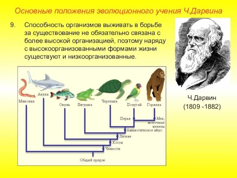 Основные положения эволюционного учения Ч.Дарвина Ч.Дарвин (1809 -1882) Способность организмов